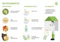 Энтеровирусная инфекция. Что нужно знать?