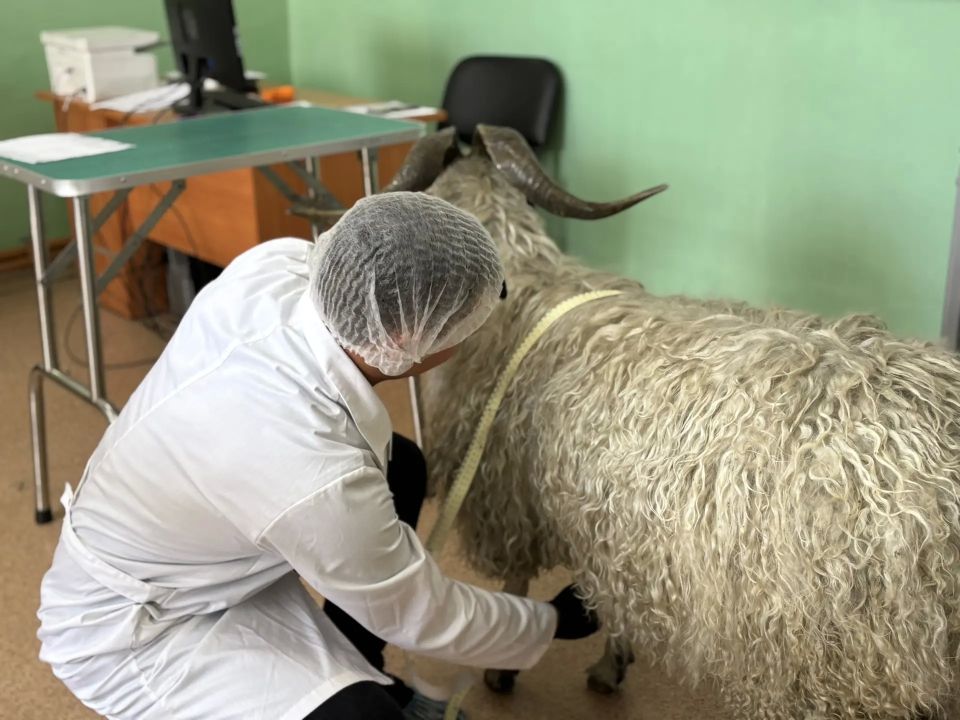 Демонстрационные экзамены: будущие специалисты проходят практические испытания Демонстрационные экзамены: будущие специалисты проходят практические испытания