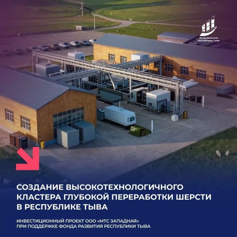 Поддержали новый промышленный проект - производство нетканых материалов из тувинской шерсти