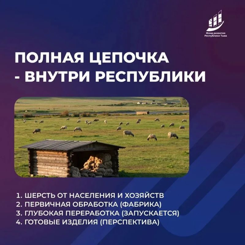 Поддержали новый промышленный проект - производство нетканых материалов из тувинской шерсти Поддержали новый промышленный проект - производство нетканых материалов из тувинской шерсти