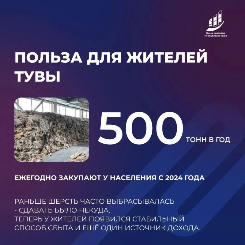 Поддержали новый промышленный проект - производство нетканых материалов из тувинской шерсти Поддержали новый промышленный проект - производство нетканых материалов из тувинской шерсти