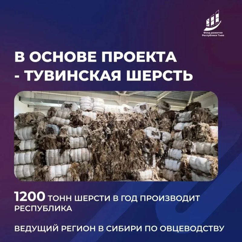 Поддержали новый промышленный проект - производство нетканых материалов из тувинской шерсти Поддержали новый промышленный проект - производство нетканых материалов из тувинской шерсти