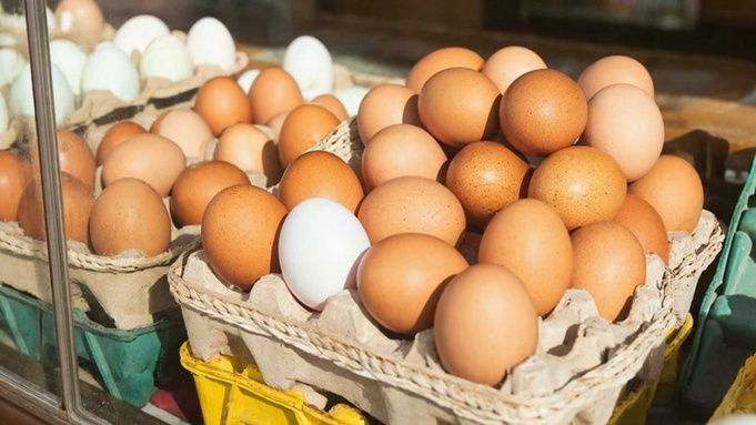 Врач объяснила, почему вареные яйца не стоит хранить дольше недели