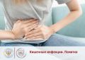 Какие заболевания относятся к кишечным инфекциям?
