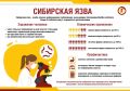 ��������� ���� - ����� ������� ������������ �����������, ���������� ����, ������ � ��������