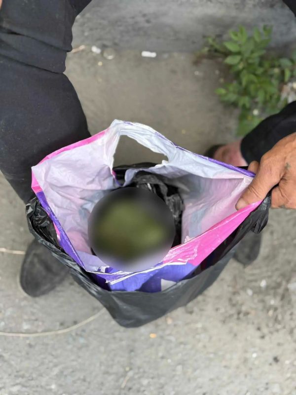 В Кызыле сотрудники уголовного розыска изъяли у местного жителя почти 750 граммов марихуаны В Кызыле сотрудники уголовного розыска изъяли у местного жителя почти 750 граммов марихуаны
