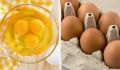 Продукты, которые обгоняют яйца по содержанию белка