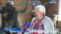 Суурну амыдыралчы чону. Мгн-Тайга далай денелинден барык 4 му километр бедикте, кадыг берге агаар бойдустуг кожуун