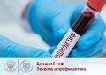 Брюшной тиф: что нужно знать о заболевании и его профилактике