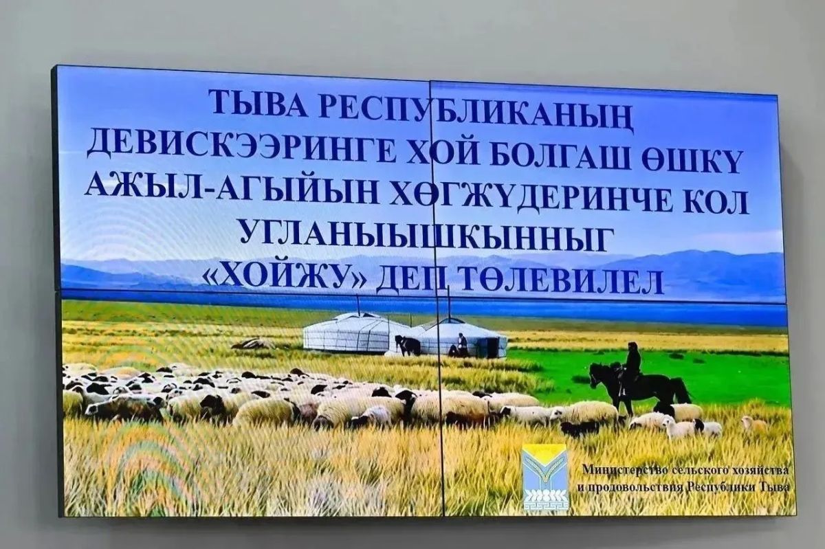 В Правительстве Тувы сегодня состоялась торжественная церемония вручения государственных наград передовикам животноводчества и чемпионам Наадыма, приуроченная к национальному празднику В Правительстве Тувы сегодня состоялась торжественная церемония вручения государственных наград передовикам животноводчества и чемпионам Наадыма, приуроченная к национальному празднику