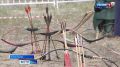 Попасть в цель!. В местечке Тос-Булак прошёл республиканский чемпионат по стрельбе из национального лука