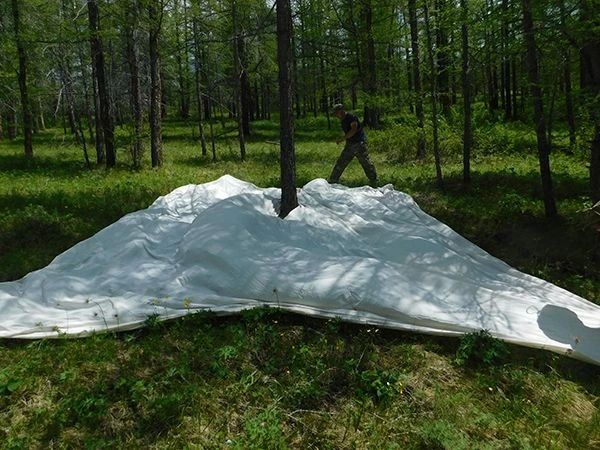 В Туве завершили обработку биологическими пестицидами участки тайги, пораженные непарным шелкопрядом В Туве завершили обработку биологическими пестицидами участки тайги, пораженные непарным шелкопрядом