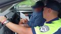В Кызыле участник свадебного кортежа привлечен к административной ответственности за нарушения ПДД