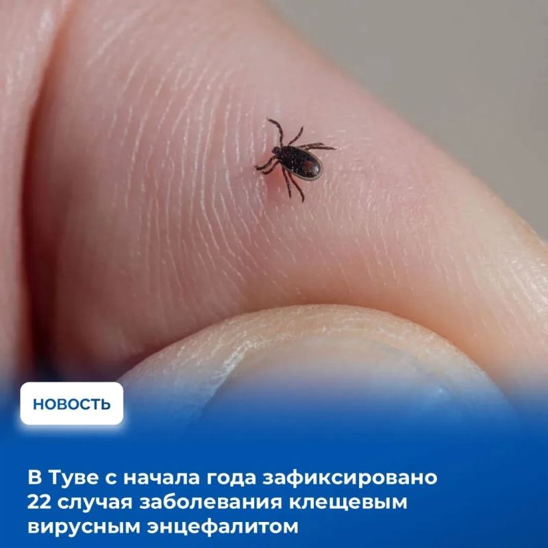 На аппаратном совещании в Правительстве Тувы рассмотрели показатели оперативной обстановки за прошедшую неделю по данным МВД по Республике Тыва, Главного управления МЧС России по Республике Тыва и Управления Роспотребнадзора... На аппаратном совещании в Правительстве Тувы рассмотрели показатели оперативной обстановки за прошедшую неделю по данным МВД по Республике Тыва, Главного управления МЧС России по Республике Тыва и Управления Роспотребнадзора...