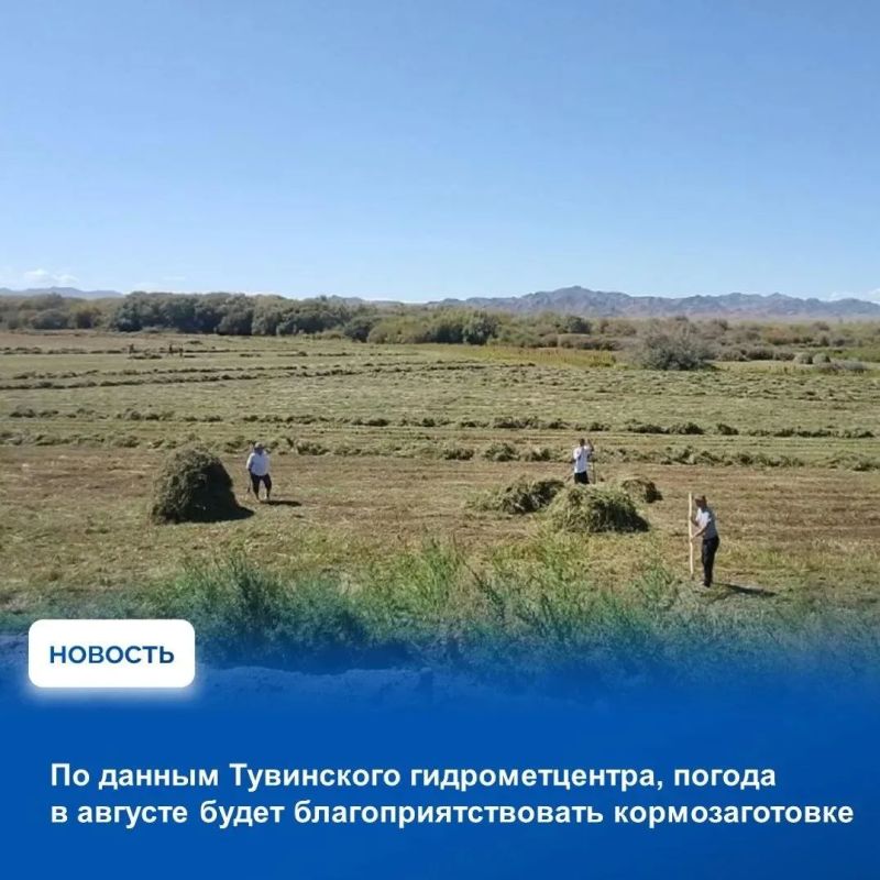 На аппаратном совещании в Правительстве Тувы рассмотрели показатели оперативной обстановки за прошедшую неделю по данным МВД по Республике Тыва, Главного управления МЧС России по Республике Тыва и Управления Роспотребнадзора... На аппаратном совещании в Правительстве Тувы рассмотрели показатели оперативной обстановки за прошедшую неделю по данным МВД по Республике Тыва, Главного управления МЧС России по Республике Тыва и Управления Роспотребнадзора...