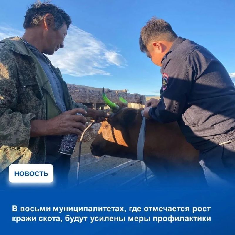 На аппаратном совещании в Правительстве Тувы рассмотрели показатели оперативной обстановки за прошедшую неделю по данным МВД по Республике Тыва, Главного управления МЧС России по Республике Тыва и Управления Роспотребнадзора... На аппаратном совещании в Правительстве Тувы рассмотрели показатели оперативной обстановки за прошедшую неделю по данным МВД по Республике Тыва, Главного управления МЧС России по Республике Тыва и Управления Роспотребнадзора...