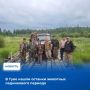 Тува продолжает удивлять и радовать научный мир редкими археологическими находками – этим летом здесь обнаружили останки крупных животных, которые обитали на Земле в эпоху позднего плейстоцена, т.е. не менее 12 тысяч лет...