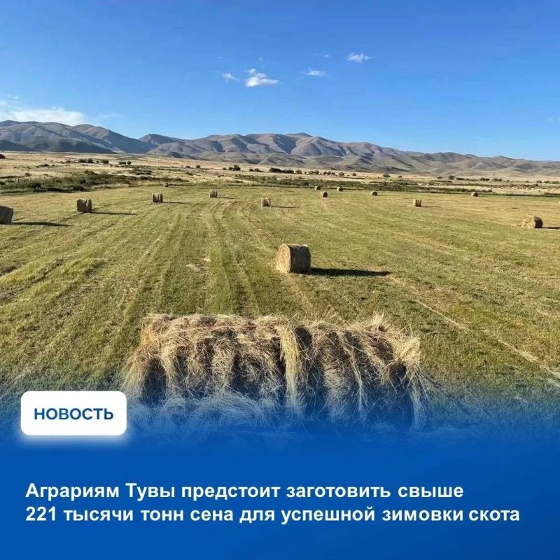 На аппаратном совещании в Правительстве Тувы рассмотрели оперативную обстановку, сложившуюся на прошедшей неделе, итоги работы органов власти на цифровых платформах для обратной связи с жителями, а также выполнения плана... На аппаратном совещании в Правительстве Тувы рассмотрели оперативную обстановку, сложившуюся на прошедшей неделе, итоги работы органов власти на цифровых платформах для обратной связи с жителями, а также выполнения плана...