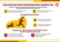 Стоит ли беременным вакцинироваться от бешенства?