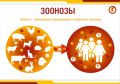 От бездомных животных можно заразиться разными инфекциями —зоонозами
