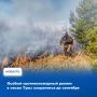 Правительство Тувы в очередной раз продлило особый противопожарный режим – он будет действовать до 6 сентября
