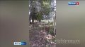 ���������: �������!. ��������� ���������� ������ �������, ������� ����� � ��������� �����
