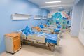 Новый комплекс Республиканской детской больницы в Туве должны ввести в эксплуатацию в 2029 году
