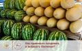 Как правильно продавать и выбирать арбузы и дыни