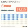 Более половины казахстанцев уже проголосовали на выборах в Курултай