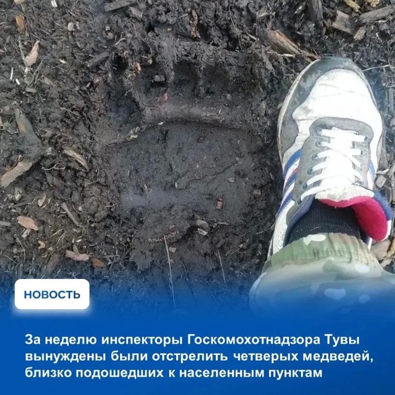 На аппаратном совещании в Правительстве Тувы подвели итоги прошедшей недели На аппаратном совещании в Правительстве Тувы подвели итоги прошедшей недели