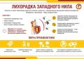 Комары не только кусаются, но и заражают!