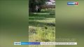 ������ �������� ��������������� ����� ���������