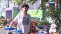 Чечектел-ле, Кызылывыс!. Найысылалда "Чечектелген Кызыл" деп мрейде чурттакчылардан болгаш организациялардан билдииришкиннер хлээттинген