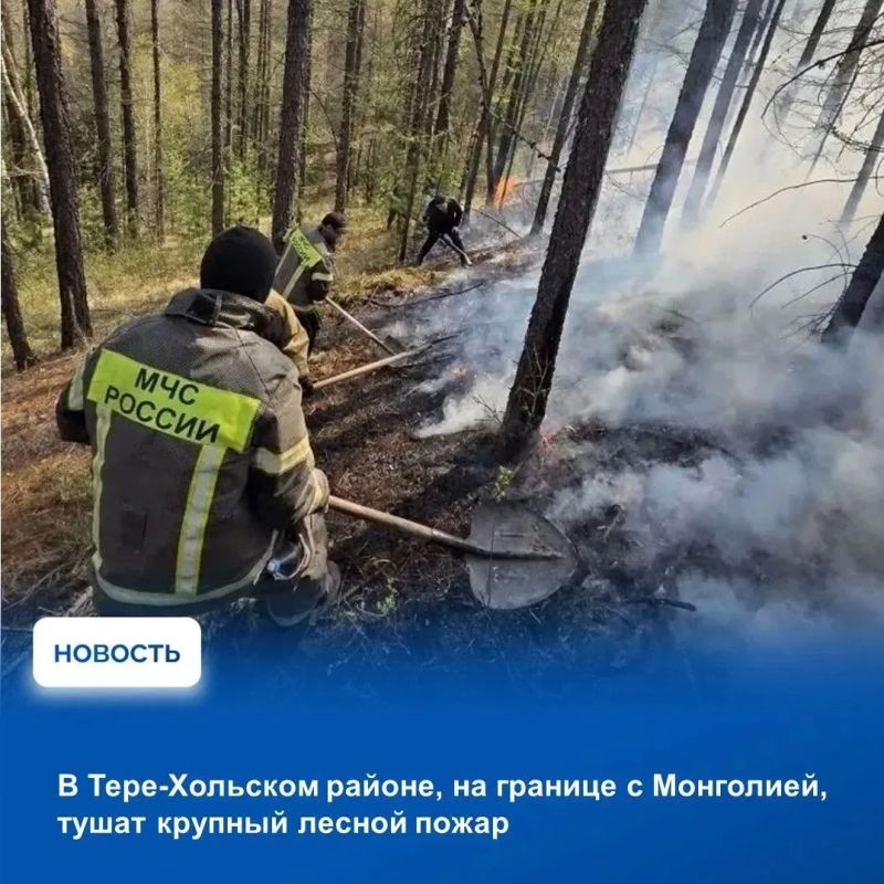 На аппаратном совещании в Правительстве Тувы обсудили оперативную ситуацию, сложившуюся на прошедшей неделе На аппаратном совещании в Правительстве Тувы обсудили оперативную ситуацию, сложившуюся на прошедшей неделе