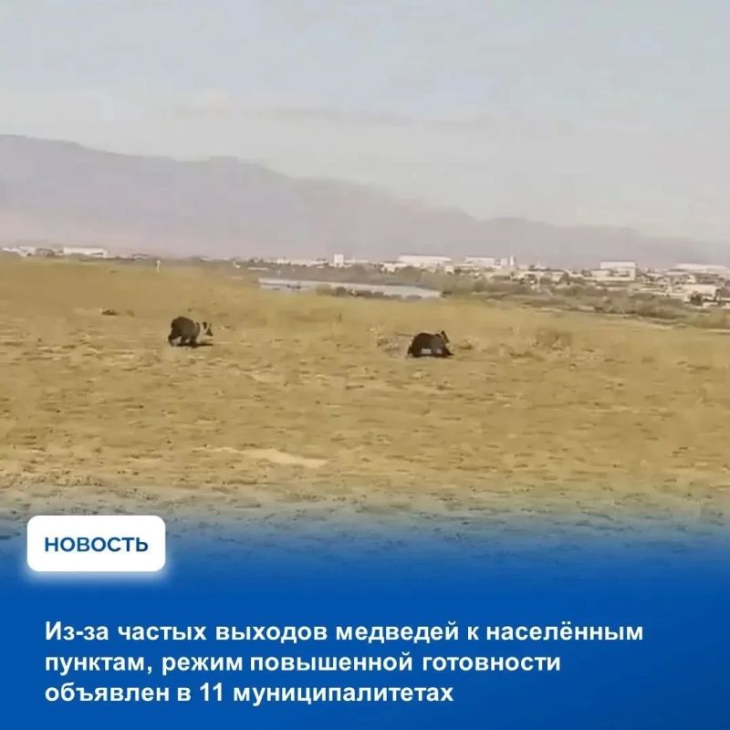 На аппаратном совещании в Правительстве Тувы обсудили оперативную ситуацию, сложившуюся на прошедшей неделе На аппаратном совещании в Правительстве Тувы обсудили оперативную ситуацию, сложившуюся на прошедшей неделе