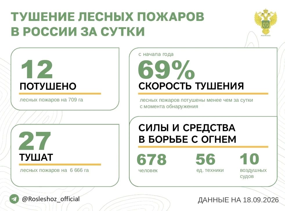 За прошедшие сутки в 10 регионах России потушили 5 лесных пожара