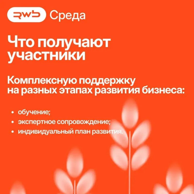 Приглашаем предпринимателей присоединиться к программе «Платформа роста» от RWB Приглашаем предпринимателей присоединиться к программе «Платформа роста» от RWB