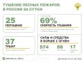 За прошедшие сутки в 5 регионах России потушили 25 лесных пожаров