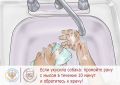 28 сентября — Всемирный день борьбы с бешенством