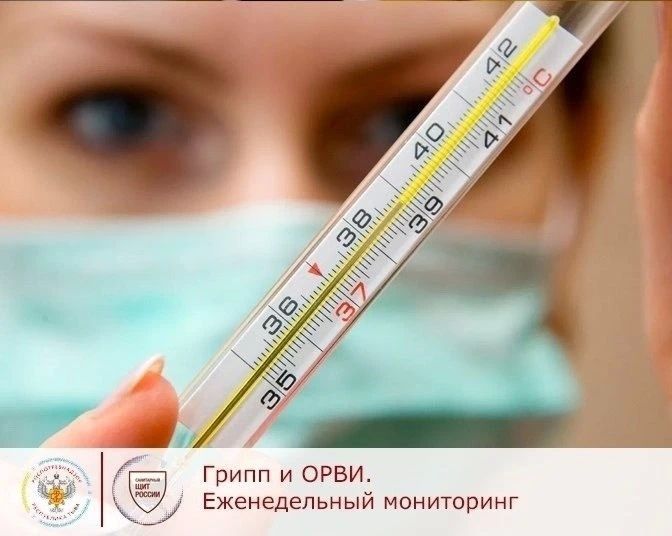 За прошлую неделю по итогам еженедельного мониторинга в Туве зарегистрировано 595 случаев ОРВИ с показателем с показателем заболеваемости 17,6 на 10 тыс