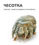 Немного о ЧЕСОТКЕ
