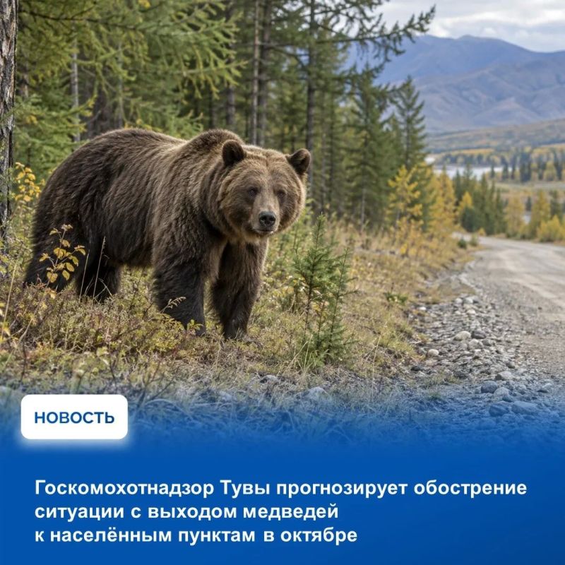На аппаратном совещании в Правительстве Тувы рассмотрели оперативную обстановку, сложившуюся на прошедшей неделе На аппаратном совещании в Правительстве Тувы рассмотрели оперативную обстановку, сложившуюся на прошедшей неделе