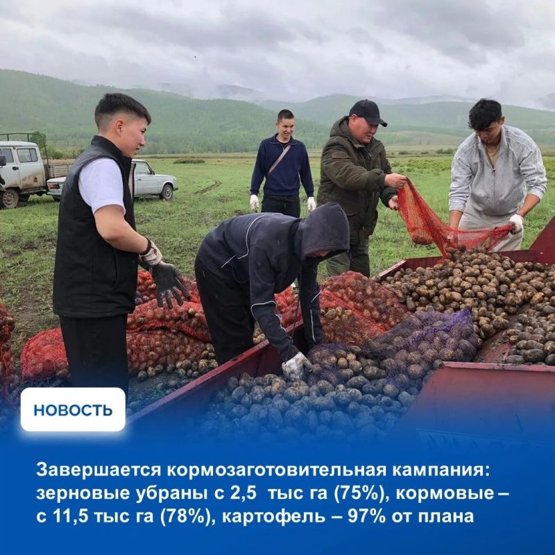 На аппаратном совещании в Правительстве Тувы рассмотрели оперативную обстановку, сложившуюся на прошедшей неделе На аппаратном совещании в Правительстве Тувы рассмотрели оперативную обстановку, сложившуюся на прошедшей неделе