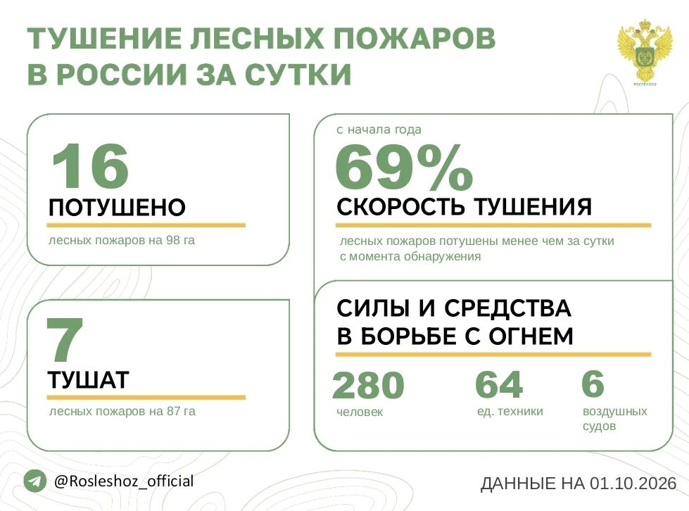 За прошедшие сутки в 16 регионах России потушили 8 лесных пожаров