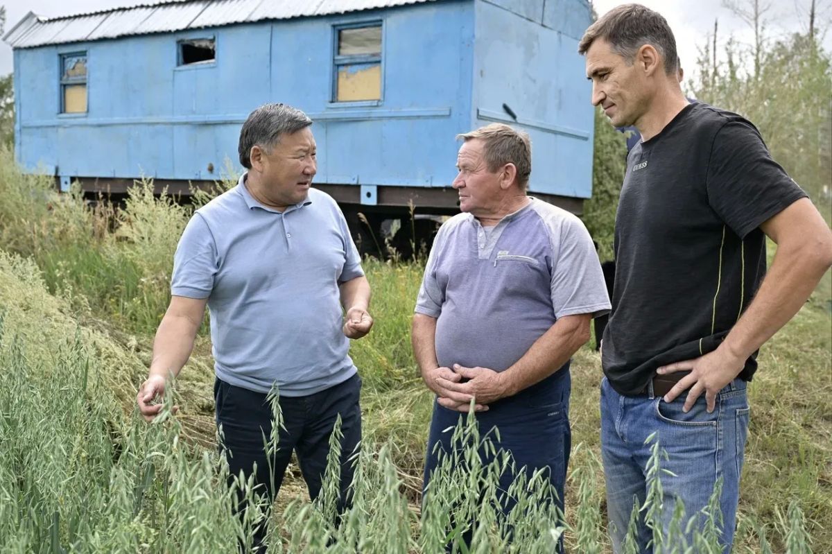 Владислав Ховалыг: Сегодня День работника сельского хозяйства и перерабатывающей промышленности Владислав Ховалыг: Сегодня День работника сельского хозяйства и перерабатывающей промышленности