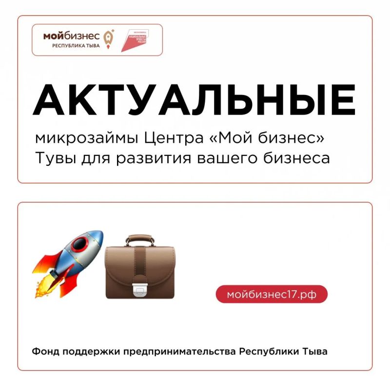 Какие микрозаймы можно получить в Центре «Мой бизнес» Тувы