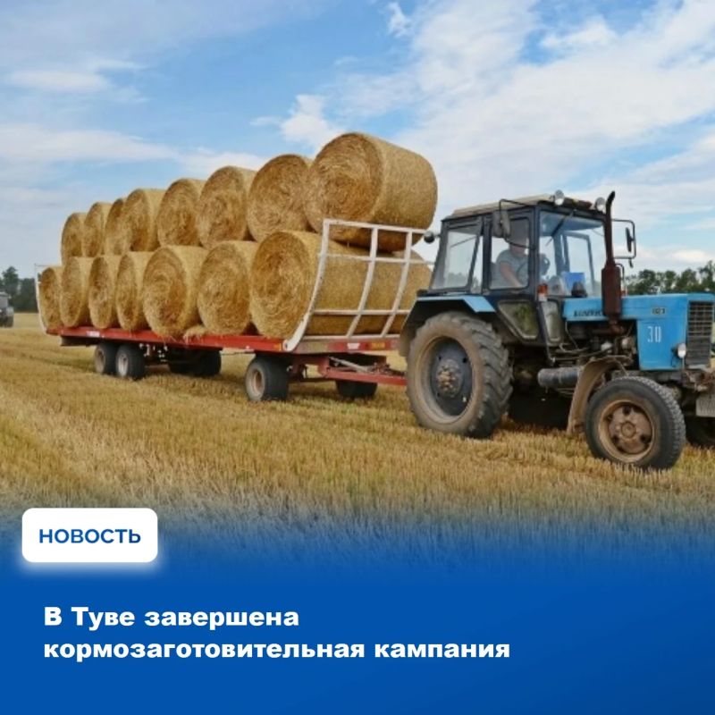 Кормозаготовительная кампания в Туве полностью завершена – об этом проинформировали в Министерстве сельского хозяйства и продовольствия республики