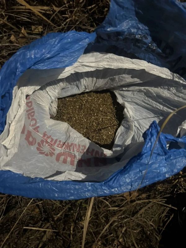 В Пий-Хемском районе сотрудники полиции выявили факт незаконного хранения наркотических средств