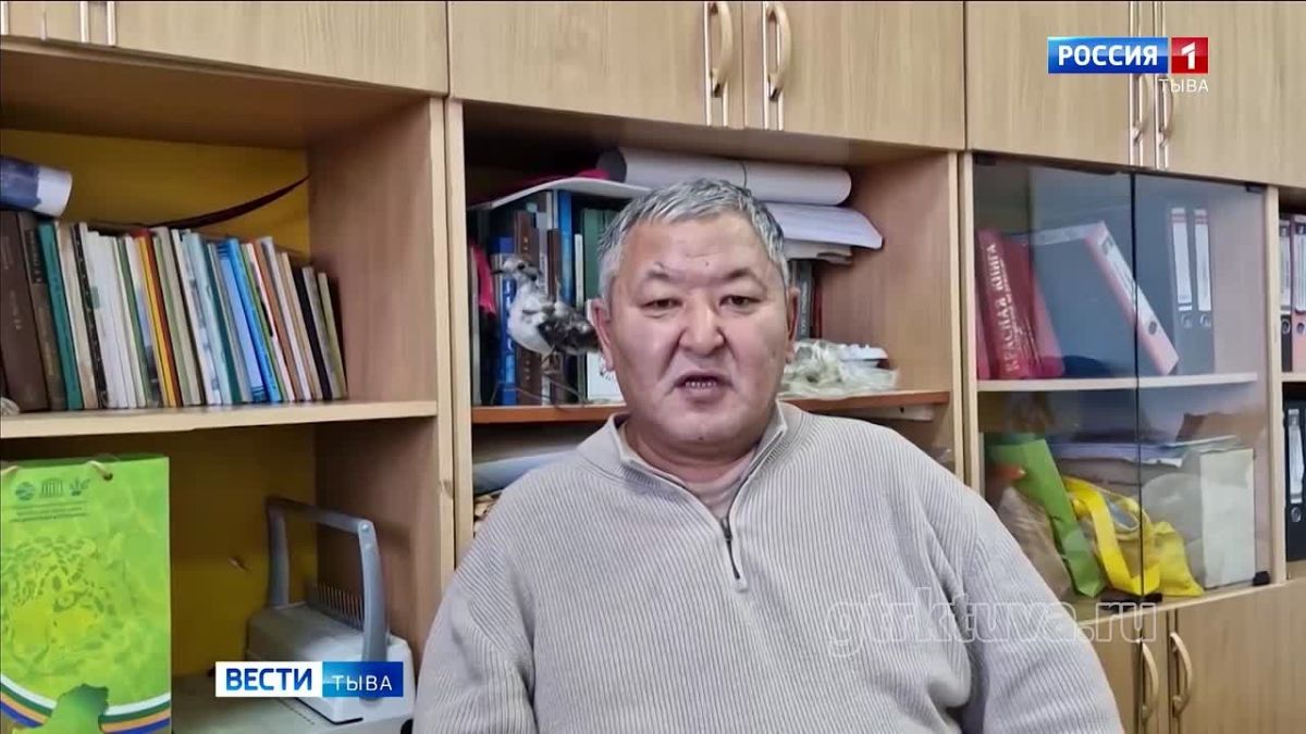 В поисках корма. В Туве усиливают меры по борьбе с медведями