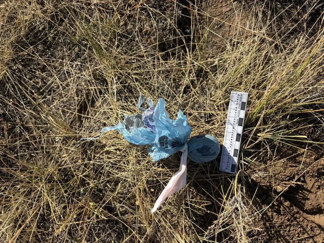 В Дзун-Хемчикском районе полицейские изъяли более 6,5 килограммов марихуаны у местного жителя В Дзун-Хемчикском районе полицейские изъяли более 6,5 килограммов марихуаны у местного жителя